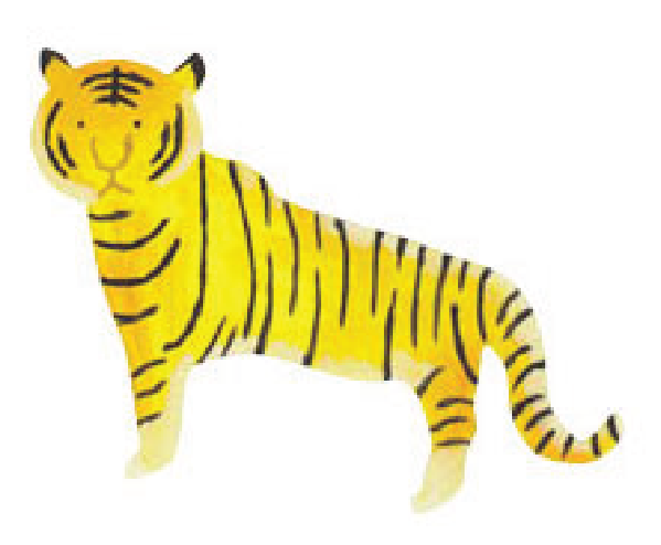 Contact Illustration